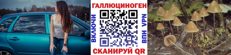 Псилоцибиновые грибы мухоморы  даркнет сайт  Хасавюрт 