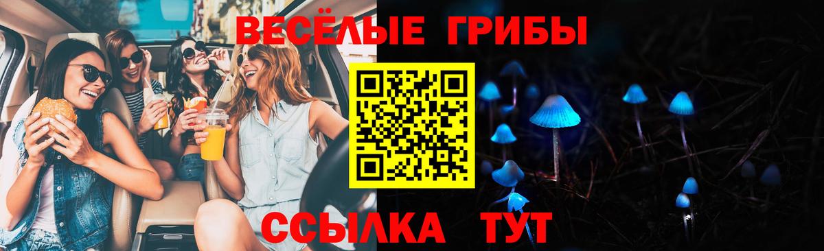 Галлюциногенные грибы ЛСД  Вход с VPN  Хасавюрт 